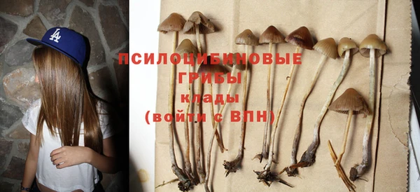 героин Белокуриха