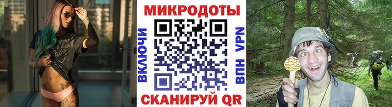 Псилоцибиновые грибы прущие грибы Няндома